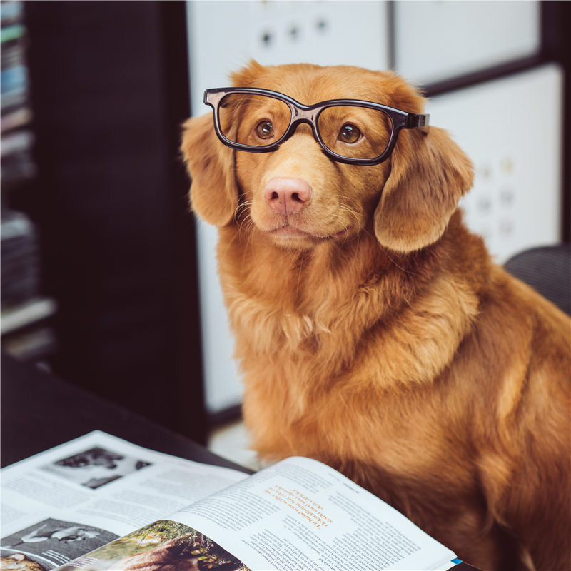 round glasses for men