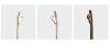 Eyeglasses Temple Dent tooth Design-m