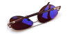 Aviator eyeglasses back