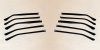 Eyeglasses temples ample