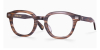 Horn Rimmed Wide Frame Glasses
