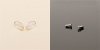 Clear Screw in Nose Pads with Golden Edage