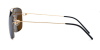 titanium-aviator-glasses