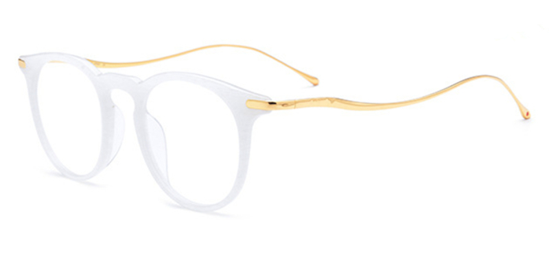 Titanium Browline Glasses