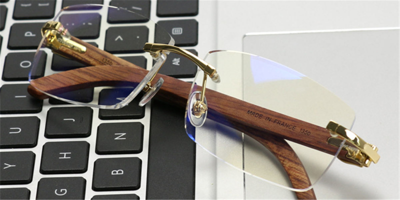 Titanium Womens Eyeglasses Frames, Phoebe Arms