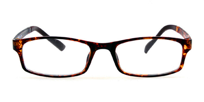 Tortoise Plastic Rectangle Glasses