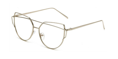 Bifocal Glasses  with Silver Hipster Frames