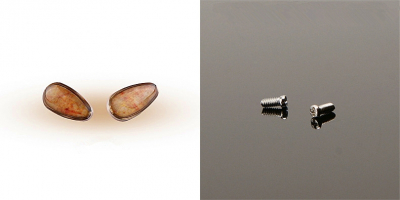 A Pair of Light Brown Gem Screw in Nose Pads 