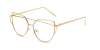 hipster eyeglasses-golden